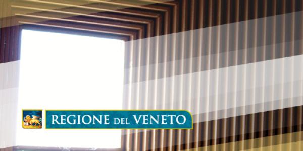 Public procurement in Veneto Region